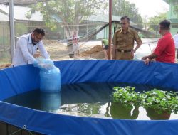 Kodim 1010/Tapin Budidayakan Ikan Sistem Bioflok