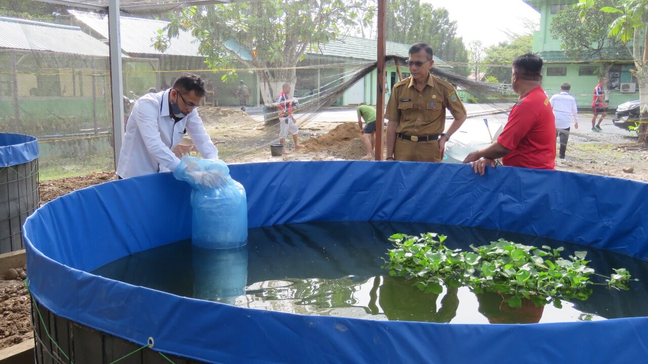 Kodim 1010Tapin Budidayakan Ikan Sistem Bioflok