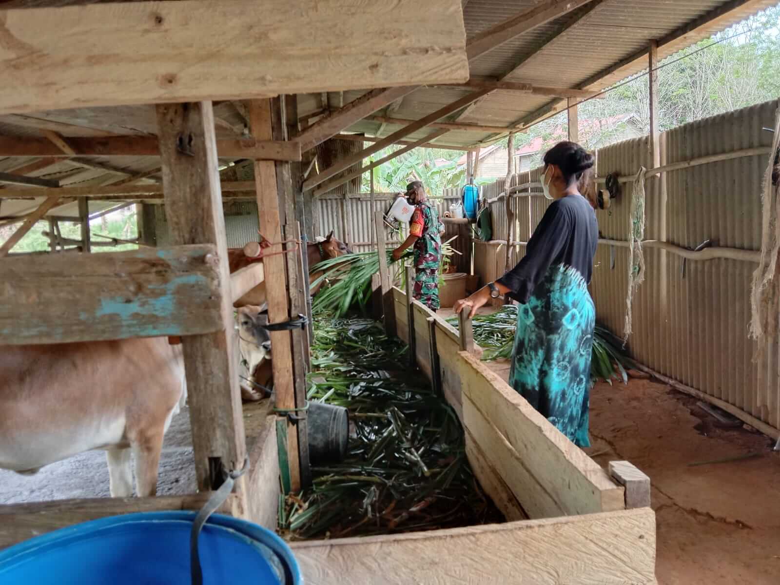 TNI Terus Dampingi Pengelolaan Pertanian di Tapin