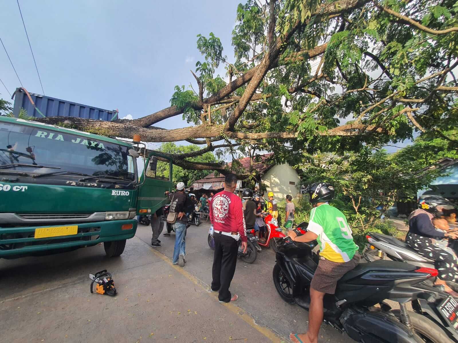Ditabrak Truk Pohon di Bahu Jalan Sebabkan Kemacetan Lalin