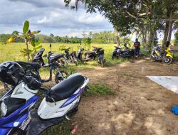 Polisi Grebek Lokasi Judi Sabung Ayam Di Area Persawahan