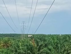 PLN Antisipasi Ancaman Padam Akibat Gangguan Transmisi di Jalur SUTT