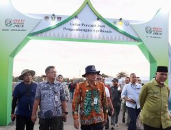 40 Ribu Petani dan Nelayan Bakal Hadiri Penas Petani Nelayan XVI 2023 di Sumbar