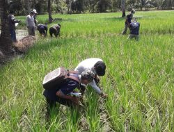 Antisipasi Fenomena El Nino, BBPP Kementan Sampaikan Pentingnya Pemantauan Pola Cuaca