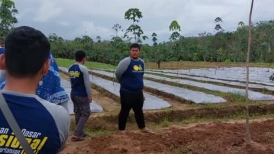 BBPP Kementan Berikan Saran Hadapi Fenomena El Nino