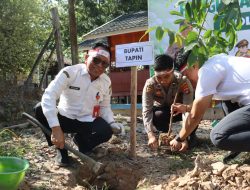 Staf Ahli Bupati Senang Penghijauan 1500 Pohon di Tapin