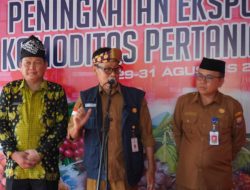 Dongkrak Ekspor Komoditas Pertanian, Kementan Gelar Training of Trainers