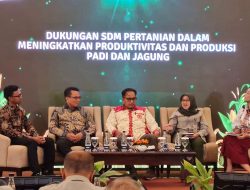 Genjot Produksi Padi-Jagung, Cara Kementan Hadapi Ancaman El Nino