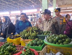 Jelang Idul Adha, Pj Bupati Tapin Pantau Ketersediaan dan Harga Bapok di Pasar Rantau 