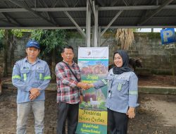 PT BMB Group Bagikan Puluhan Ekor Sapi Kurban untuk Belasan Desa di Tapin