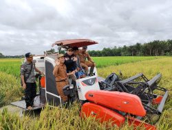 Pertanian Jadi Prioritas Utama dalam RPJPD Kabupaten Tapin