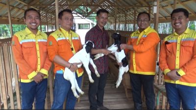 Serahkan Kambing Etawa, PT BRE Dorong Kemandirian Ekonomi Peternakan di Desa Ayunan Papan Tapin