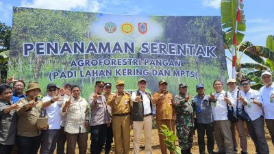 Wujudkan Swasembada Pangan, Kementerian Kehutanan Berkolaborasi Dengan Kementerian Pertanian