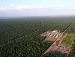 PT Palmina Utama – Jolung Group Bentuk Satgas Karhutla Komitmen Lestarikan Lingkungan 