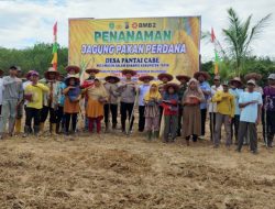 Polres Tapin Gandeng Petani, Tanam Jagung Demi Ketahanan Pangan Daerah